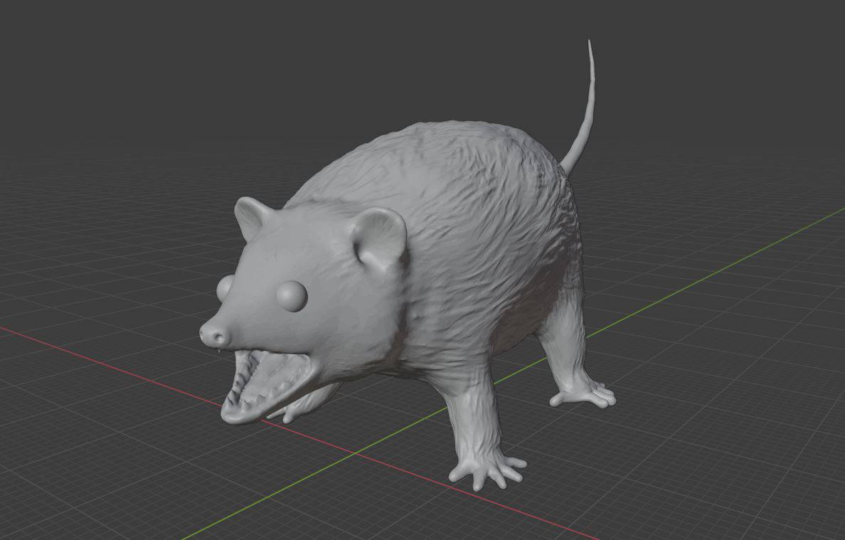 hissing opossum model